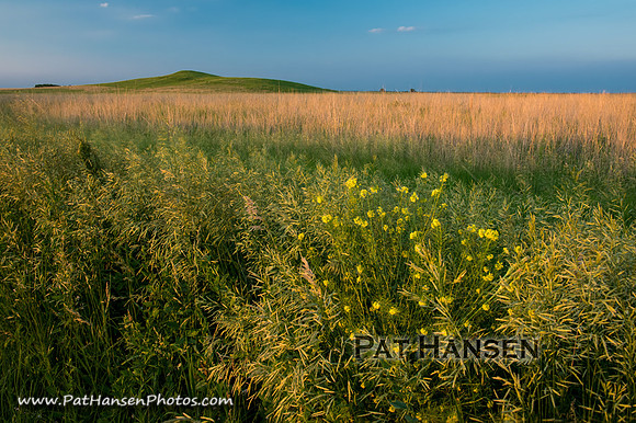 _DSC2341_Zen