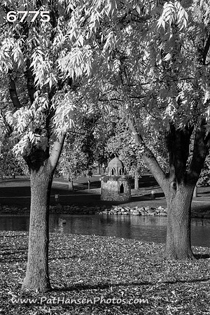 6775 Westside Park with 2 trees V #2