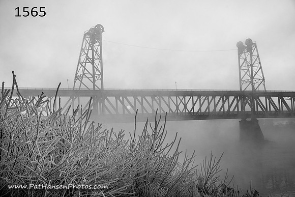 1565 foggy Meridian Bridge with frosty weeds