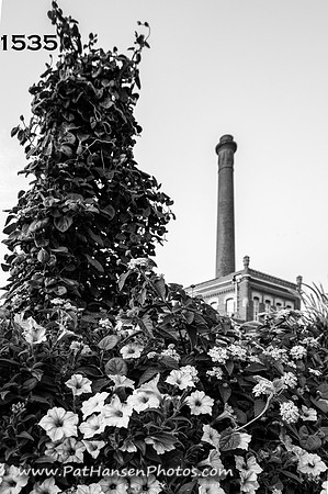 1535 flowers & Yankton smokestack