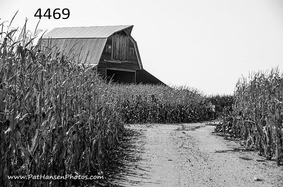 4469 corn, lane, and barn