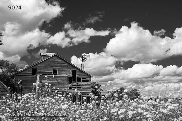 9024 barn & flowering weeds (low horizon H)