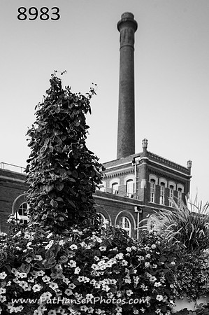 8983 flowers & Yankton smokestack V