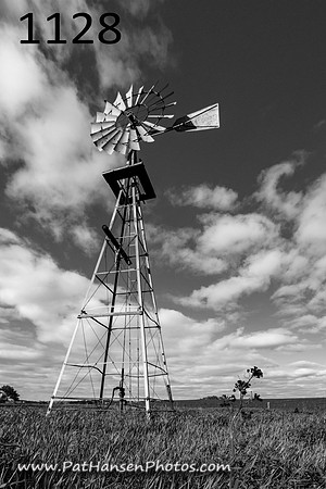 1128 windmill & flowering weed