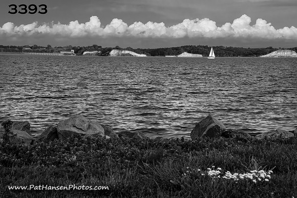 3393 L&C Lake & flowers