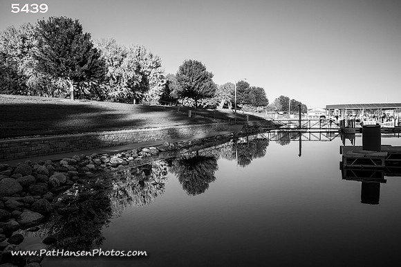 5439 reflecting trees at L&C Lake Marina