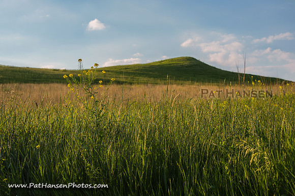 _DSC2248_Zen
