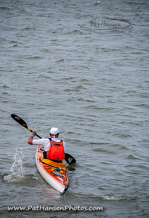 _DSC9928-1 low res Pat Hansen