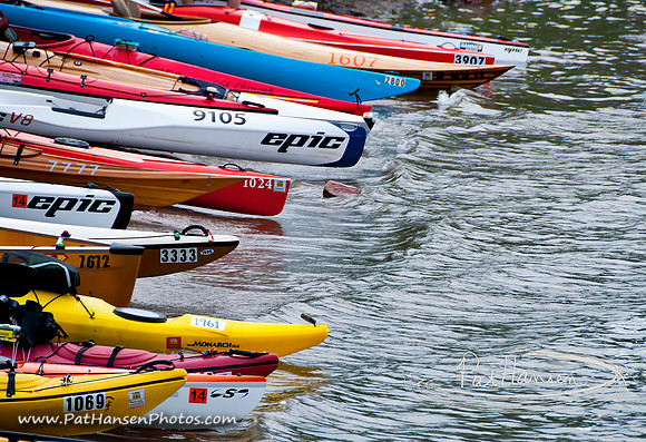 _DSC9884-1 low res Pat Hansen