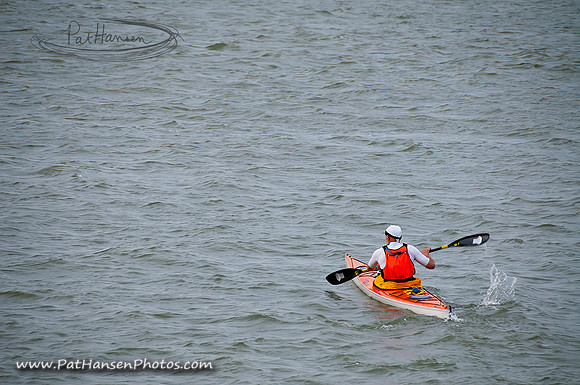 _DSC9933-1 low res Pat Hansen