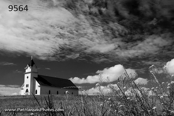 9564 Broomtree Church & flowering weeds H