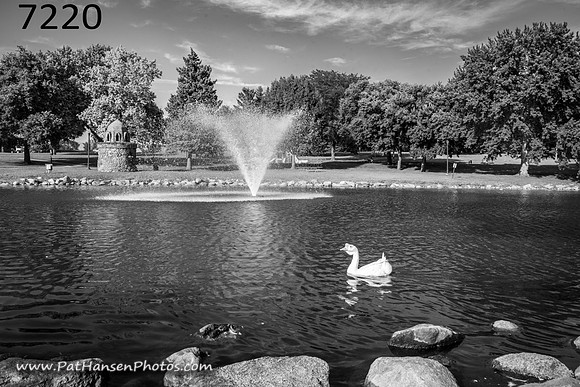 7220 Westside Park fountain with goose #2