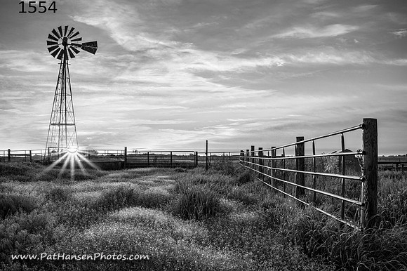 1554 windmill with mounded flowering weeds & fence