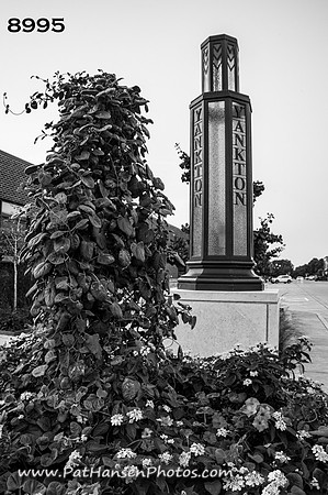 8995 flowers & Yankton light tower