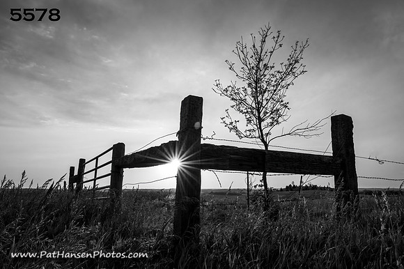 5578 fenceposts & setting sun