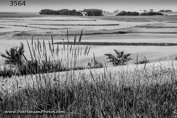 3564 weed & fields