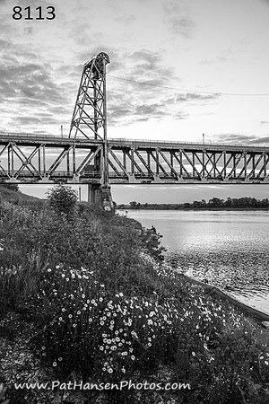 8113 Meridian Bridge & flowers V #2