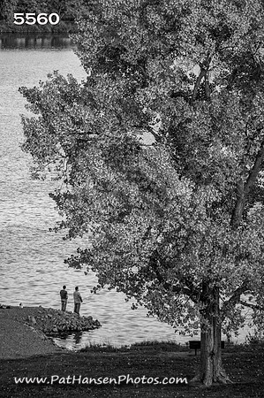 5560 Lake Yankton tree & 2 people