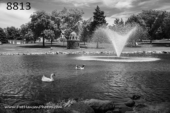 8813 Westside Park fountain with goose #1