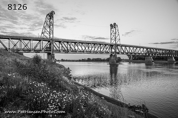 8126 Meridian Bridge & flowers H #1