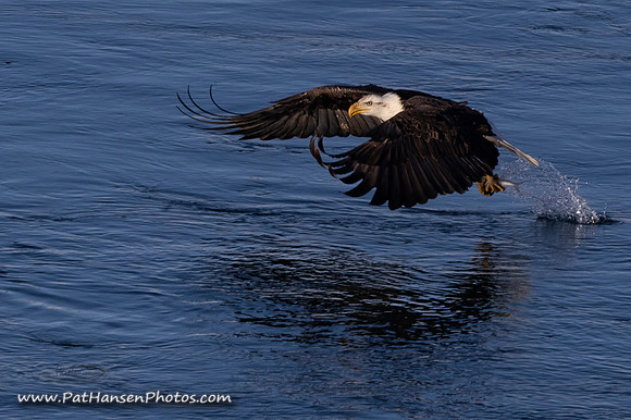 _MG_0005 gigapixel-art-height-4000px (1) _Zen