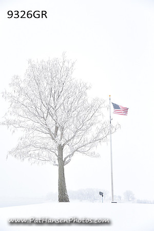 9326 snowy Riverside Park tree & flag
