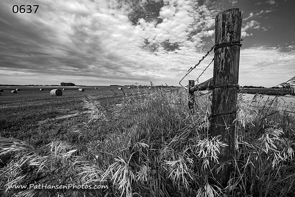 0637 fencepost & hay bales