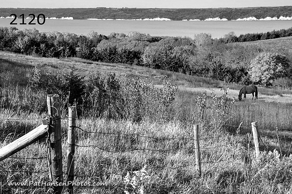 2120 L&C Lake, hills, & horse from NE side