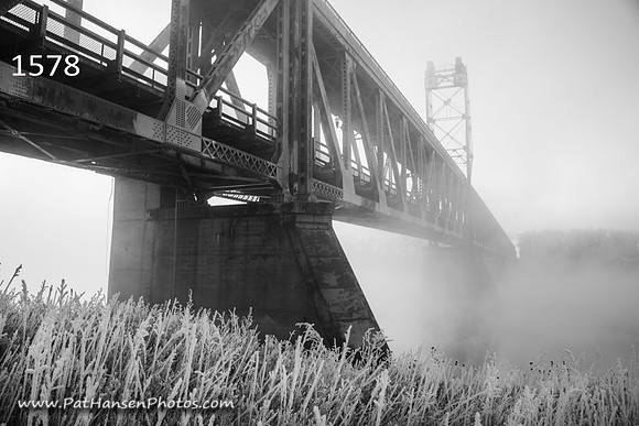 1578 foggy Meridian Bridge with frosty weeds at angle