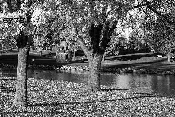 6778 Westside Park with 2 trees H #1