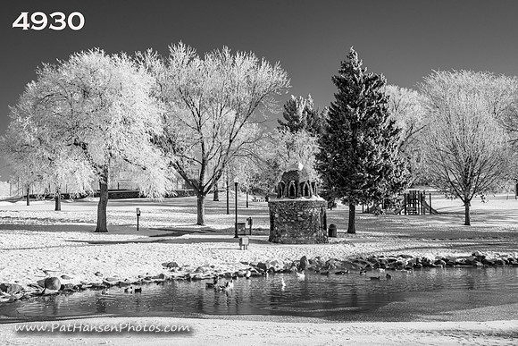 4930 Frosty Westside Park #1